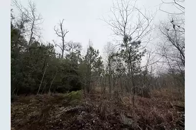 9750 Cottageville Highway, Cottageville, SC 29435 - Photo 40