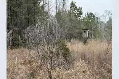 9750 Cottageville Highway, Cottageville, SC 29435 - Photo 30