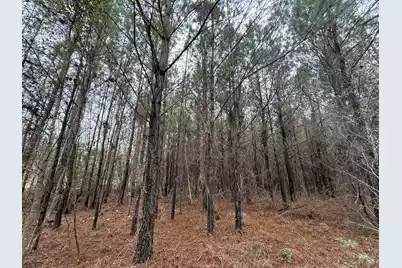 9750 Cottageville Highway, Cottageville, SC 29435 - Photo 38