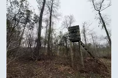 9750 Cottageville Highway, Cottageville, SC 29435 - Photo 12