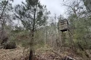 9750 Cottageville Hwy, Cottageville, SC 29435 - Photo 1