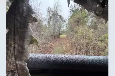 9750 Cottageville Highway, Cottageville, SC 29435 - Photo 10