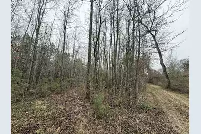 9750 Cottageville Highway, Cottageville, SC 29435 - Photo 16