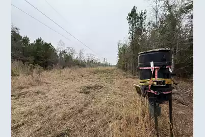 9750 Cottageville Highway, Cottageville, SC 29435 - Photo 56