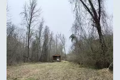 9750 Cottageville Highway, Cottageville, SC 29435 - Photo 4