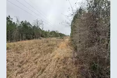 9750 Cottageville Highway, Cottageville, SC 29435 - Photo 34