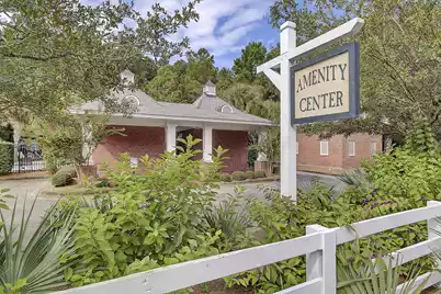 235 Nelliefield Creek Drive, Wando, SC 29492 - Photo 44