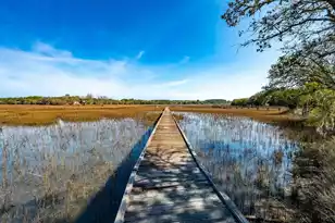 6411 China Back Ln, Meggett, SC 29449 - Photo 56