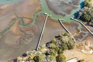 6411 China Back Ln, Meggett, SC 29449 - Photo 62