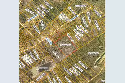 755 Society Road, McClellanville, SC 29458 - Photo 1