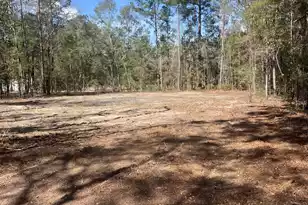 1969 Beach Rd, Walterboro, SC 29488 - Photo 1