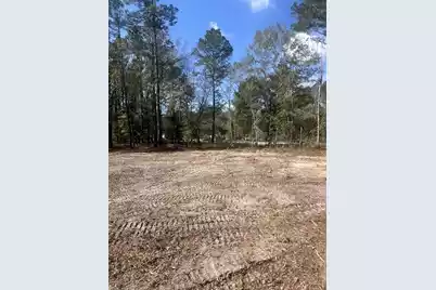 2009 Beach Road, Walterboro, SC 29488 - Photo 1
