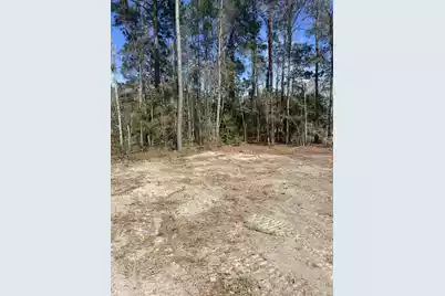 2009 Beach Road, Walterboro, SC 29488 - Photo 4