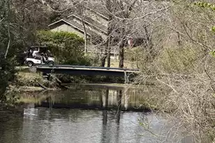 2925 Dove Haven Ct, Charleston, SC 29414 - Photo 24