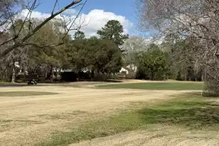 2925 Dove Haven Ct, Charleston, SC 29414 - Photo 28