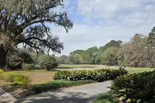 568 Pointe of Oaks Rd, Summerville, SC 29485 - Photo 52