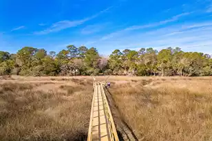 1641 Sewee Fort Rd, Mount Pleasant, SC 29466 - Photo 68