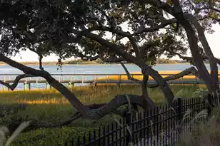 428 Ralston Creek St, Daniel Island, SC 29492 - Photo 74