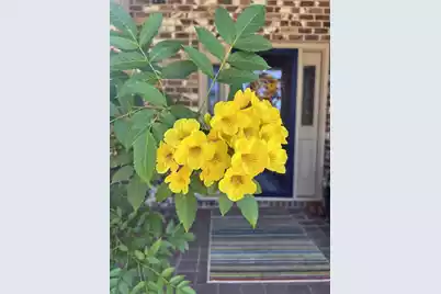 1223 Fishing Place, Summerton, SC 29148 - Photo 16