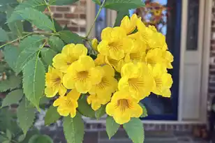 1223 Fishing Pl, Summerton, SC 29148 - Photo 16