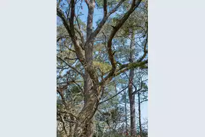 2627 Sun Beam Way, Charleston, SC 29414 - Photo 44