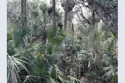 539 Oristo Ridge, Edisto Beach, SC 29438 - Photo 4