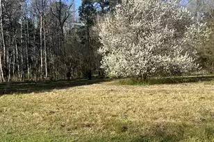 5933 Dixie Plantation Rd, Hollywood, SC 29449 - Photo 22