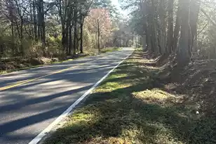 5933 Dixie Plantation Rd, Hollywood, SC 29449 - Photo 26