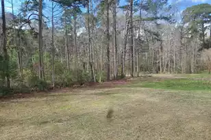 5933 Dixie Plantation Rd, Hollywood, SC 29449 - Photo 4
