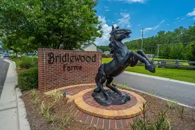 1037 Bridlewood Farms Parkway, Ridgeville, SC 29472 - Photo 2