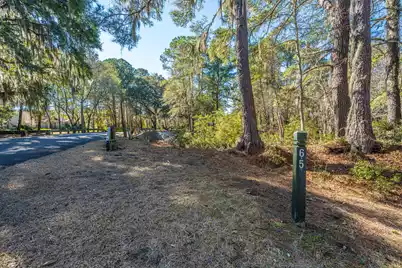 4066 Gnarled Oaks Lane, Johns Island, SC 29455 - Photo 8