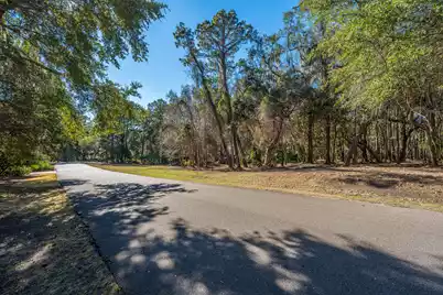 4066 Gnarled Oaks Lane, Johns Island, SC 29455 - Photo 2