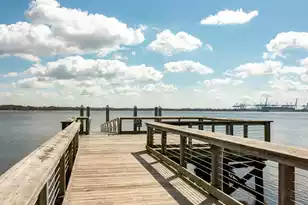 186 Cartright St, Daniel Island, SC 29492 - Photo 48