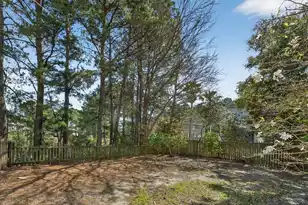 1415 Black River Dr, Mount Pleasant, SC 29466 - Photo 34