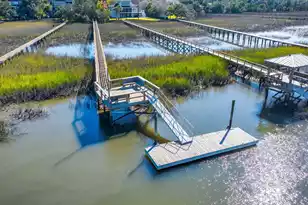 1415 Black River Dr, Mount Pleasant, SC 29466 - Photo 40