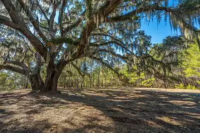 4129 Gnarled Oaks Lane, Johns Island, SC 29455 - Photo 12