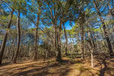 4129 Gnarled Oaks Lane, Johns Island, SC 29455 - Photo 20