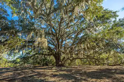 4129 Gnarled Oaks Lane, Johns Island, SC 29455 - Photo 8