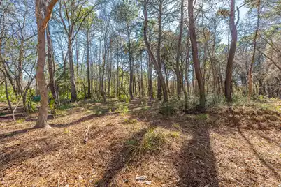 4129 Gnarled Oaks Lane, Johns Island, SC 29455 - Photo 16