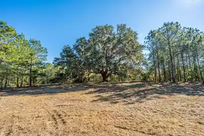 4129 Gnarled Oaks Lane, Johns Island, SC 29455 - Photo 2