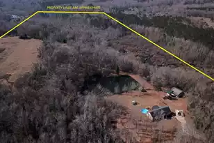 6611 North Rd, North, SC 29112 - Photo 6