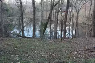 6611 North Rd, North, SC 29112 - Photo 42