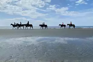 4020 Marshwalk Trace, Seabrook Island, SC 29455 - Photo 18