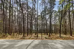103 Caveson Dr, Summerville, SC 29483 - Photo 1