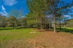 268 Rodeo Dr, Eutawville, SC 29048 - Photo 54