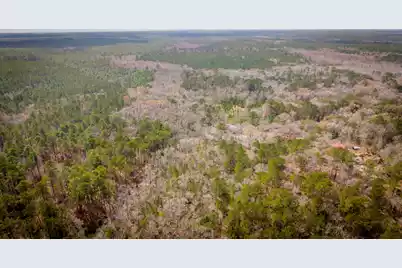 1717 Sc Hwy 45, McClellanville, SC 29458 - Photo 54