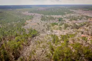 1717 Sc Hwy 45, McClellanville, SC 29458 - Photo 54