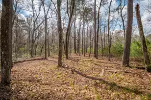 1717 Sc Hwy 45, McClellanville, SC 29458 - Photo 42