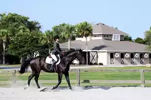 2255 Catesbys Bluff Ct, Johns Island, SC 29455 - Photo 80