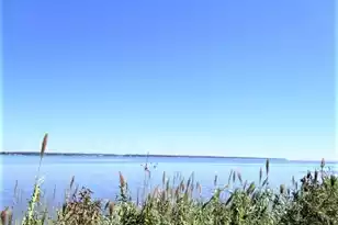 603 Santee Dr, Santee, SC 29142 - Photo 50